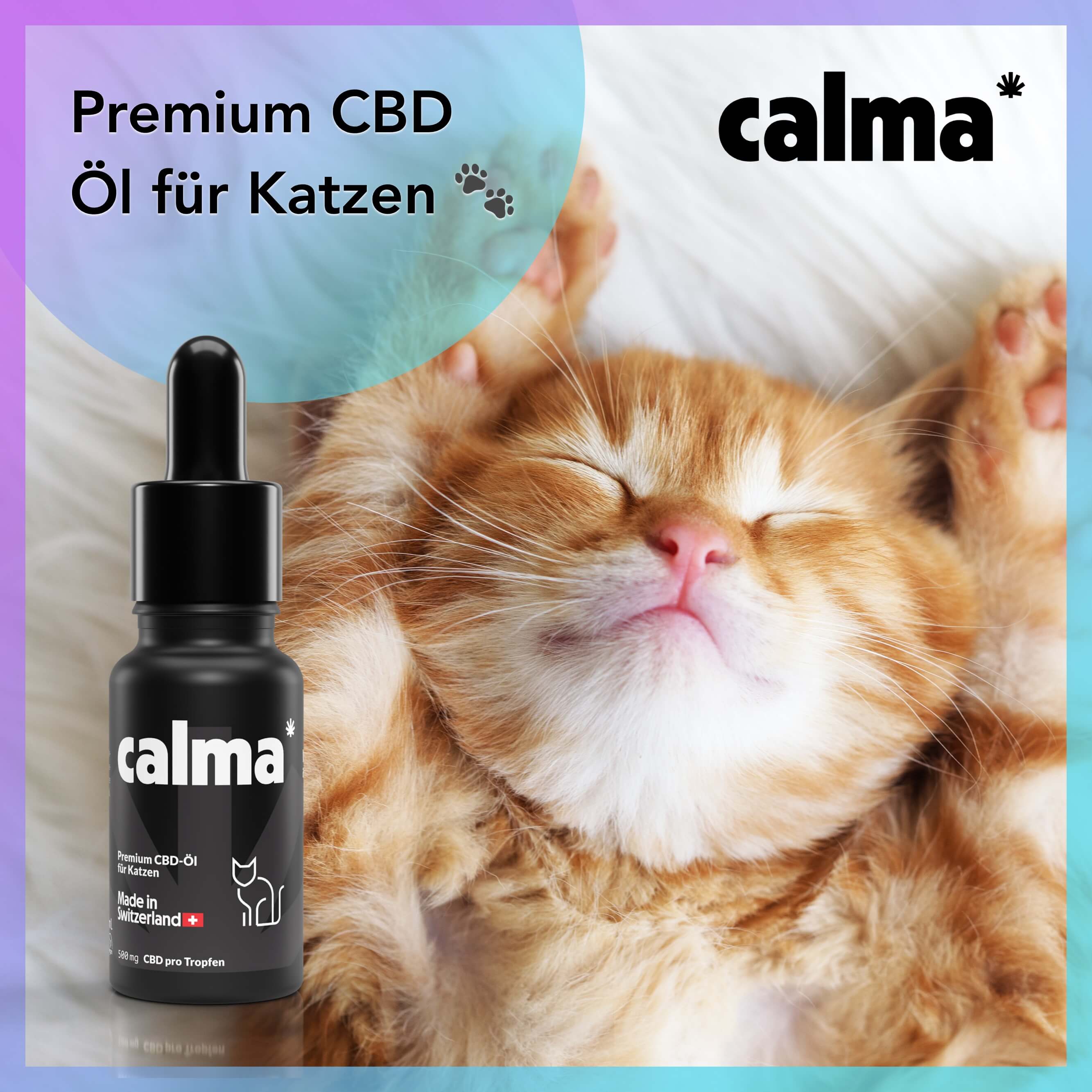 CBD Oil for Cats đ±