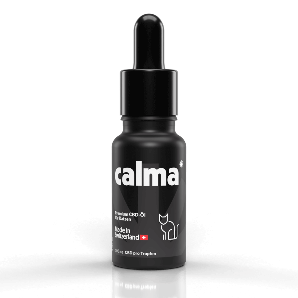 CBD Oil for Cats đ±