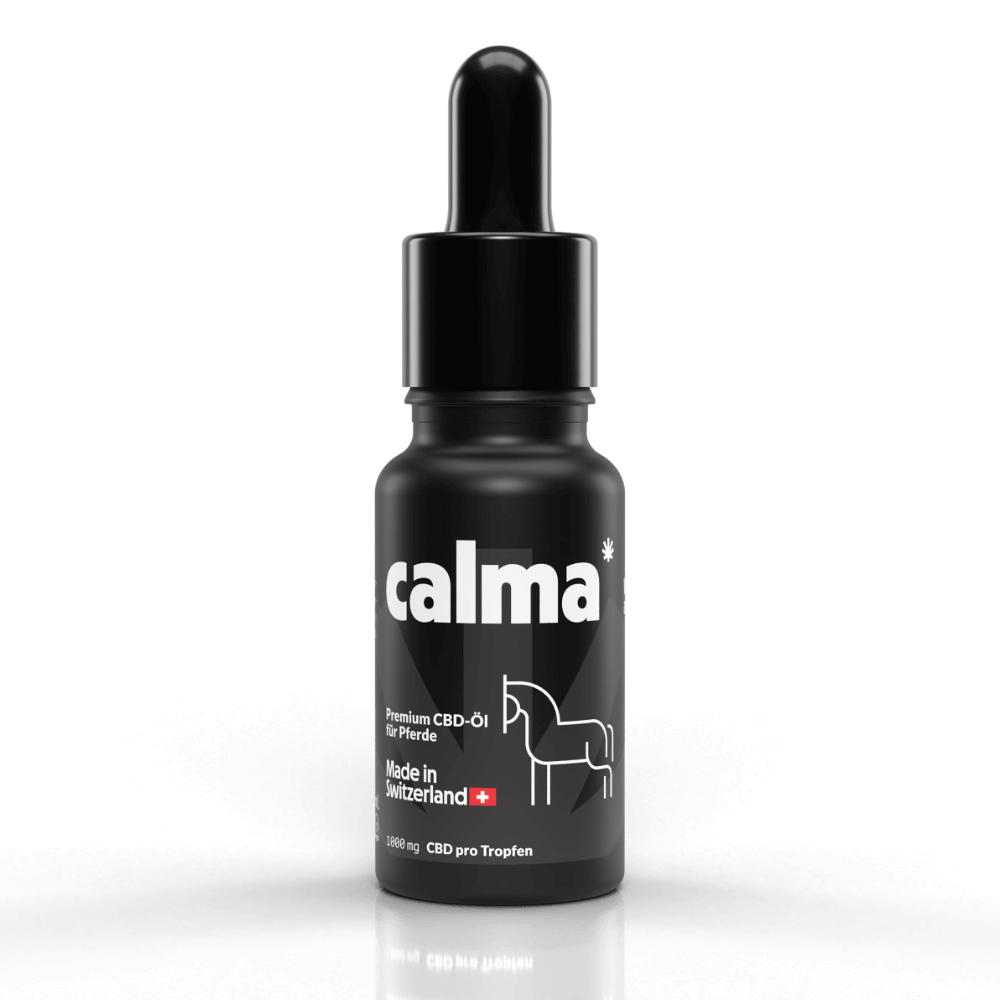 CBD Oil for Horses đŽ