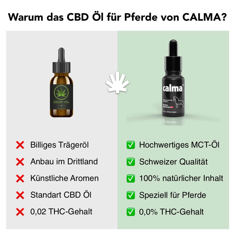 CBD Oil for Horses đŽ