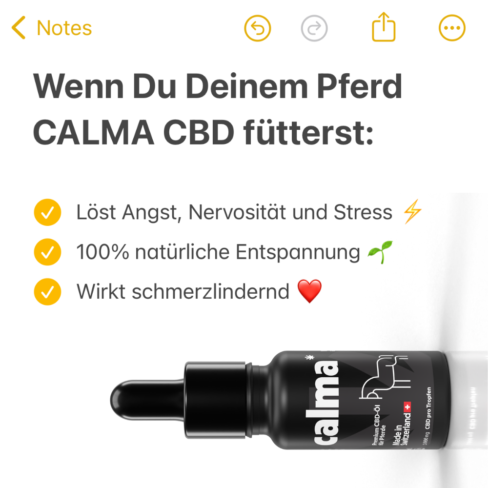 CBD Oil for Horses đŽ