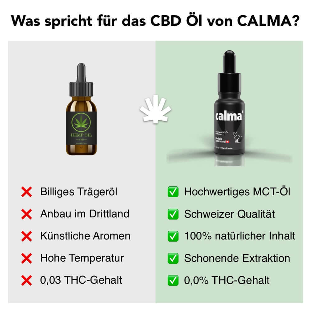 CBD Oil for Cats đ±