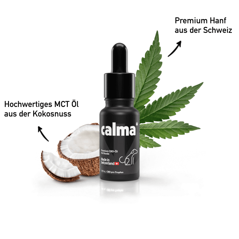 Best CBD Oil 10%